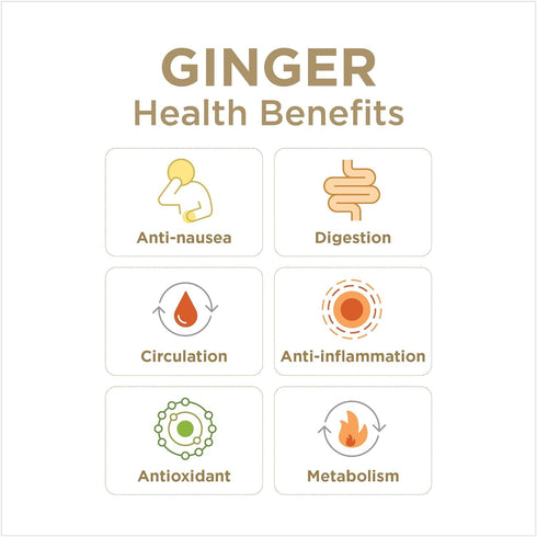2 Oz (Pack 12) Ginger Rescue Shots by The Ginger People Energy Boosting, Caffeine Free Energy, Digestive Heath, Lemon