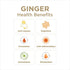 2 Oz (Pack 12) Ginger Rescue Shots by The Ginger People Energy Boosting, Caffeine Free Energy, Digestive Heath, Lemon
