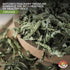 0.25 0z Pack 3 Angel Brand Dried Cerasse Leaves Pouch of - Melon Bitter Leaf Spice Derived from Melon Plant - Provides
