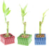 4" 20 (20) NW Wholesaler - Live Lucky Bamboo Plant - Bundle of Stalks - Live Indoor Houseplants for Home Decor, Live