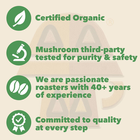 14 oz Harmonic Grounds Swiss Water Decaf | Organic Medium Roast Ground Coffee with Functional Mushrooms | Lions Mane