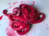 Red Radish Powder Dust | Natural & Watersoluble Food Dye | 1.76oz/50g for Kitchen or Cocktails