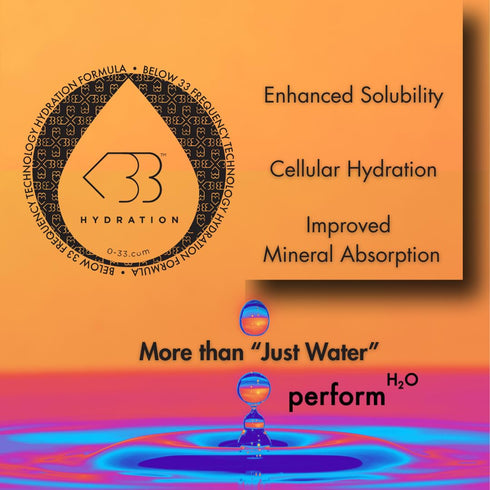 PerformH2O 33 (<33), 16.9 OZ/500ML (Pack 12) The Evolved Co.s Performance Water with Below Frequency Technology