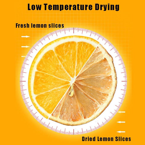 ZCFIKJ 2.5Oz/70g,Natural Dried Lemon Slices Dehydrated Lemon Slices for Cocktails Garnish/Potpourri/Cake