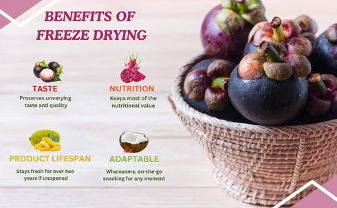 (Pack 3) NOKKI FARM Freeze Dried Mangosteen - Healthy & Exotic Tropical Fruit Snacks, No Added Sugar or Preservatives