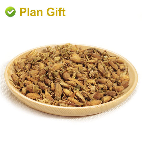 Plant Gift 2.82oz/80g Dried Bergamot Flower No Additives, Sulfur Free, Chinese Dried Herbs Angelica Sinensis Dong Quai