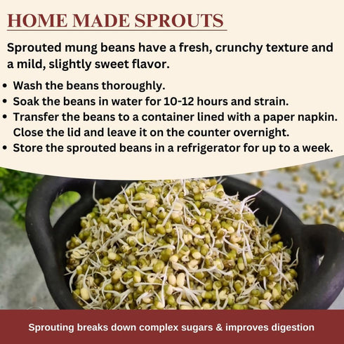2 lb Darsa Organics Whole Green Moong (Mung) Bean Lentils USDA Organic, Non-GMO, Kosher, Gluten-Free | Protein & Fiber