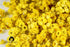 GRIGORIAN GOURMET Immortelle 1 OZ (30g) (Helichrysum Pallasii) Dried Flowers Loose Herbal Tea | Wild-Harvested from the