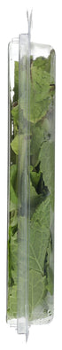 Fresh Produce 0.75 Herb Mint Organic, Ounce