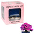 Eve's Garden, Inc Eve's Miniature Azalea Bonsai Seed Kit, Flowering, Complete Kit to Grow Azalea