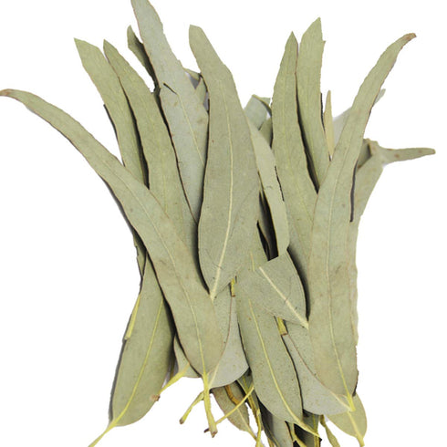 Whole Eucalyptus Leaves, Natural Eucalyptus Herb Leaves, 114g (4.0 oz) for Aromatherapy and Crafts