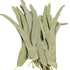 Whole Eucalyptus Leaves, Natural Eucalyptus Herb Leaves, 114g (4.0 oz) for Aromatherapy and Crafts