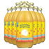 Pacific96 Organic Hawaiian Gingerade 16oz (10 Pack)