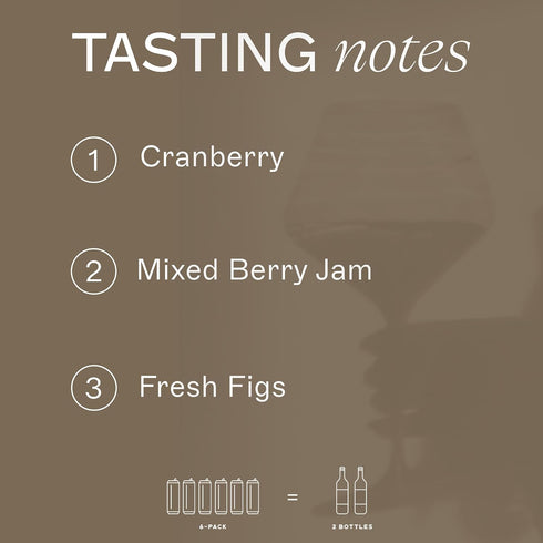 6 Pack Just Enough Wines Pinot Noir Alcohol Removed | Non-Alcoholic Red Wine, Cans | Central Coast California, Low