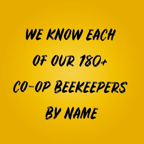 24 (Pack 1) Sue Bee Local Northwest Honey, Raw & Unfiltered, Beekeeper-Owned Co-Op, Product of USA, Regional Honey