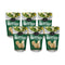 Mrs. Cubbison's Cheese Crisps Great for Snacking and Salad Topper (1.98 Ounce