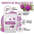 Immune 30 Milk Thistle Tea - Organic Milk Thistle Herbal Tea Bags for Liver Cleanse, Antioxidant and Support, Caffeine