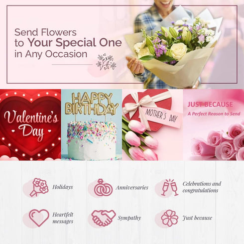 Generic Dozen 12 50CM One Fresh Roses Bouquet, Premium Long-Stem Ecuador Freedom Red Roses, Hand-Tied Floral