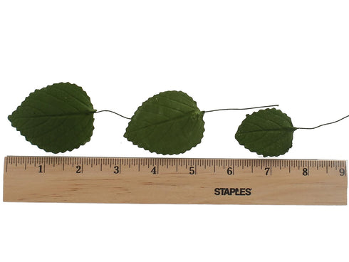15 Count Global Sugar Art Hydrangea Leaves Sugar Cake Flowers Green Mix of Large Medium and Small, by Chef Alan