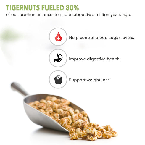 Skyland Kitchen 12oz, Organic Sliced Tigernuts Nut-Free, Raw Snack, Gluten-Free, Vegan, Paleo Friendly, High Fiber
