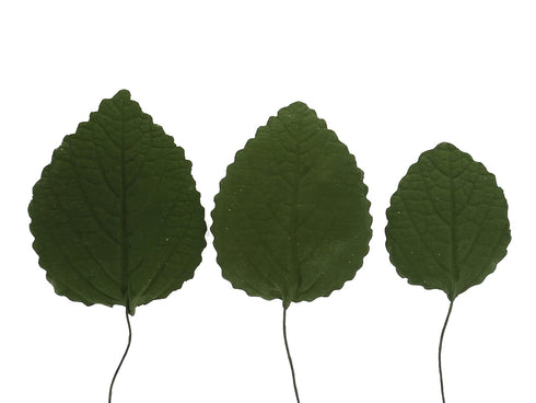 15 Count Global Sugar Art Hydrangea Leaves Sugar Cake Flowers Green Mix of Large Medium and Small, by Chef Alan