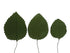 15 Count Global Sugar Art Hydrangea Leaves Sugar Cake Flowers Green Mix of Large Medium and Small, by Chef Alan