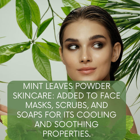 100% 227 0.5 LBS Natural Mint Leaves Powder for Skin and Health Care GMS /