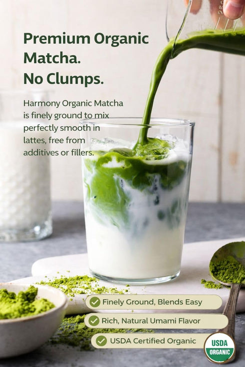 Touch Organic 80 Count Harmony Organic Matcha Green Powder