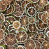 110 100% 3.5 oz |100 Dehydrated Dried Lime Slices | Lime Wheels | + Slices Approx | Natural No Added Sugars |