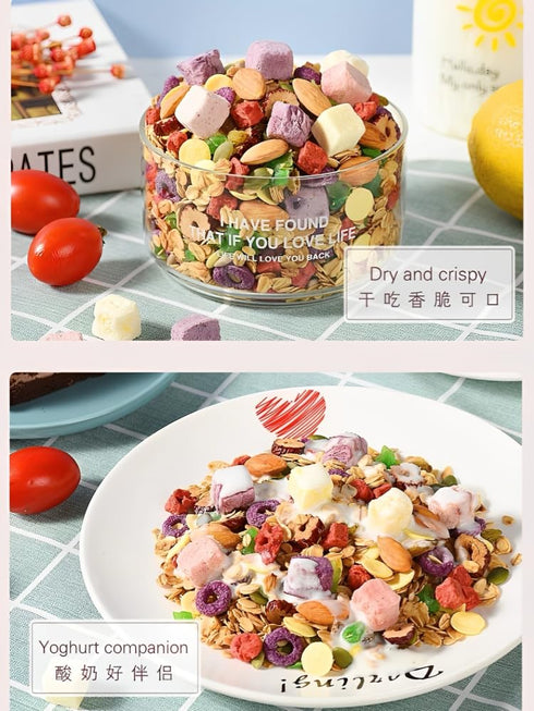 WEIJUEJIYI 400g/14.1oz Yogurt Nut Baked Cereal, Crunchy Breakfast Cereal with Freeze-Dried Yogurt Cubes, Dried Fruits