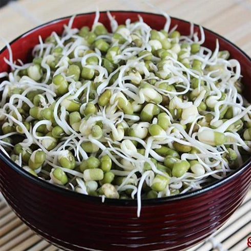 Natural Whole Dried Mung Beans - Ready to Cook & Non-GMO