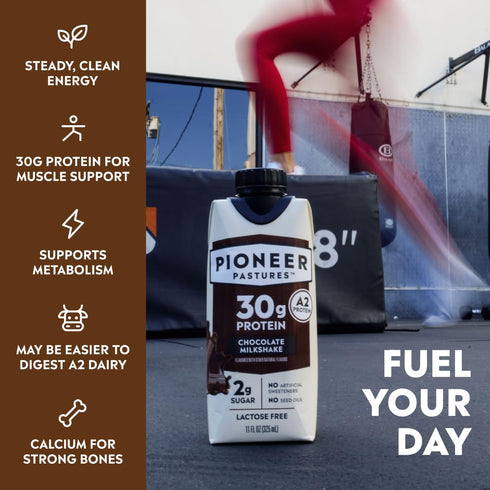 A2 A2 30g 2g 11oz, 12 Pack Pioneer Pastures - High Protein Milkshakes - Chocolate - Nutritional Milk, Protein, Sugar