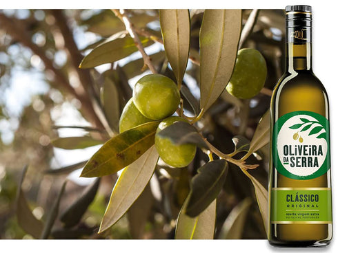 Oliveira da Serra (1 Classico Extra Virgin Olive Oil Item Per Order)