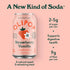 12 Oz Olipop Strawberry Vanilla Sparkling Tonic, Fl Can