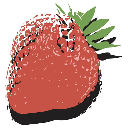 5 12 pack Strawberry Sparkling Wellness Soda - Naturally sweetened with dates - Crafted with balsamic vinegar - simple