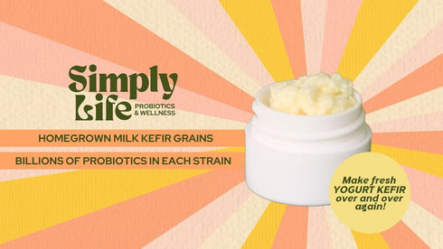 Simply Life Probiotics Milk Kefir Grains,Turkish Strain, Pajaritos de Leche, Bulgaros, Homemade Kefir, Live Probiotics