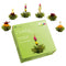 Creano Tea Flowers Mix - Blooming Green Tea, Fruity Flavored (Roses in 6 Varieties)