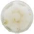 Mario Camacho Foods 16 Oz.(Pack 6) Cocktail Onions Fl.