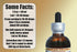 Red Root Alcohol-Free Liquid Extract - Red Root (Ceanothus Americanus) Dried Root Bark Glycerite, 2 oz