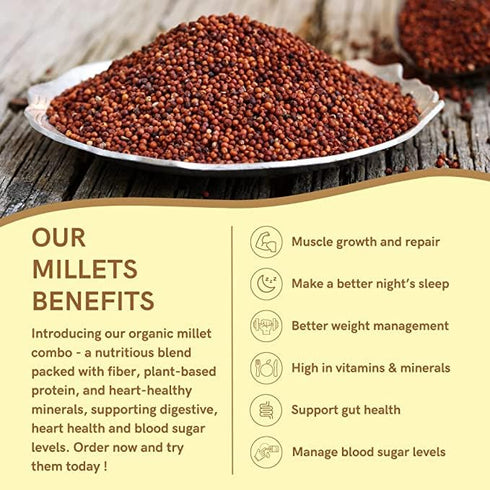 450g (0.99 lbs) Danodia Foods Finger Millet Flakes (Ragi) | Gluten-Free & Non-GMO | Traditional Unpolished Millet