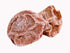 Helen Ou@ Zhejiang Specialty Preserved Fruit Dried Plum - Salty and Sour Plum ???? 120g/4.23oz/0.26lb