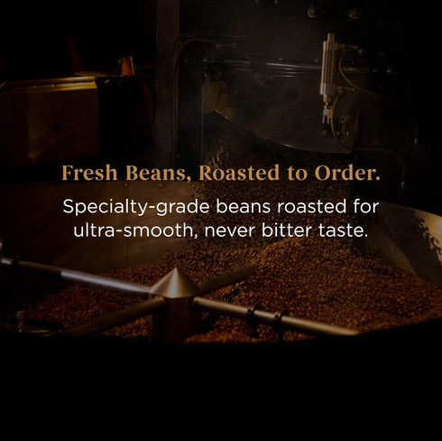 Storyville Coffee Prologue Blend - Premium Whole Bean Fresh Roasted Medium Roast Coffee, 8 Ounces