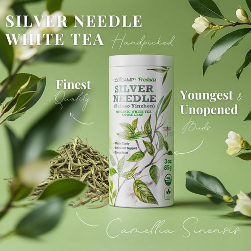 3 oz TODICAMP Premium Silver Needle Tea - of Premium White Tea Loose Leaf