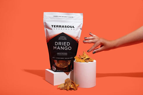 16 Oz Terrasoul Superfoods Organic Dried Mango Slices, - Naturally Sweet & Tart | No-Added Sugar | Healthy Prebiotic