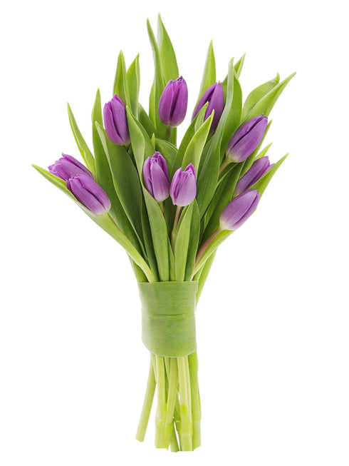 10 KaBloom - Bouquet of Purple Tulips with Vase - Fresh Flowers for Birthday, Valentine's & Mother's Day