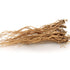 PALPLUS -1.1LB (500g) Organic Natural Pure Premium Korean Achyranthes Root (Achyranthes Japonica) Dried Bulk Herbs