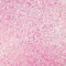 Baby Pink Craft Glitter Dust - Shiny Light Pink Luxury Glitter, 5 grams, Kosher, Vegan