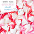 Jimmies 10 Sweets Indeed Valentines Day Sprinkles with Hearts | Bulk Mix | Red White Pink Sprinkle Mix for Baking