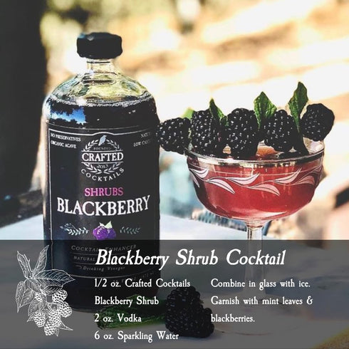 2 Pack Crafted Cocktails - Blackberry Shrubs - - Use as cocktail enhancer, soda flavoring, or culinary ingredient