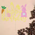 Easter Happy Birthday Cake Topper Glitter Paper - Happy Easter Birthday Cake Decor with Bunny Egg Elements Party